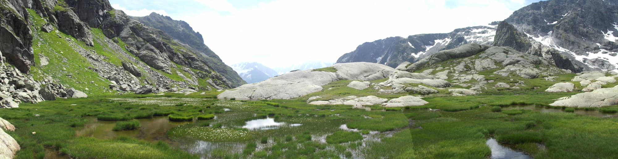 Tourbière de Tré-les-Eaux - Commune de Vallorcine